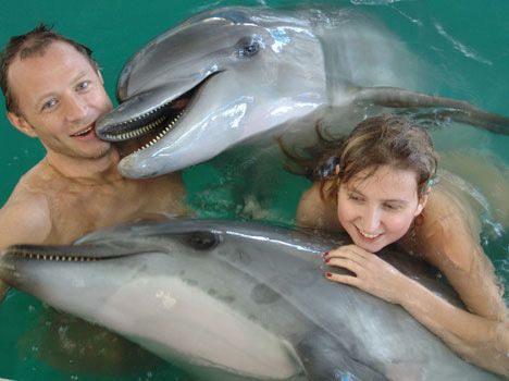 hurghada delfinschwimmen